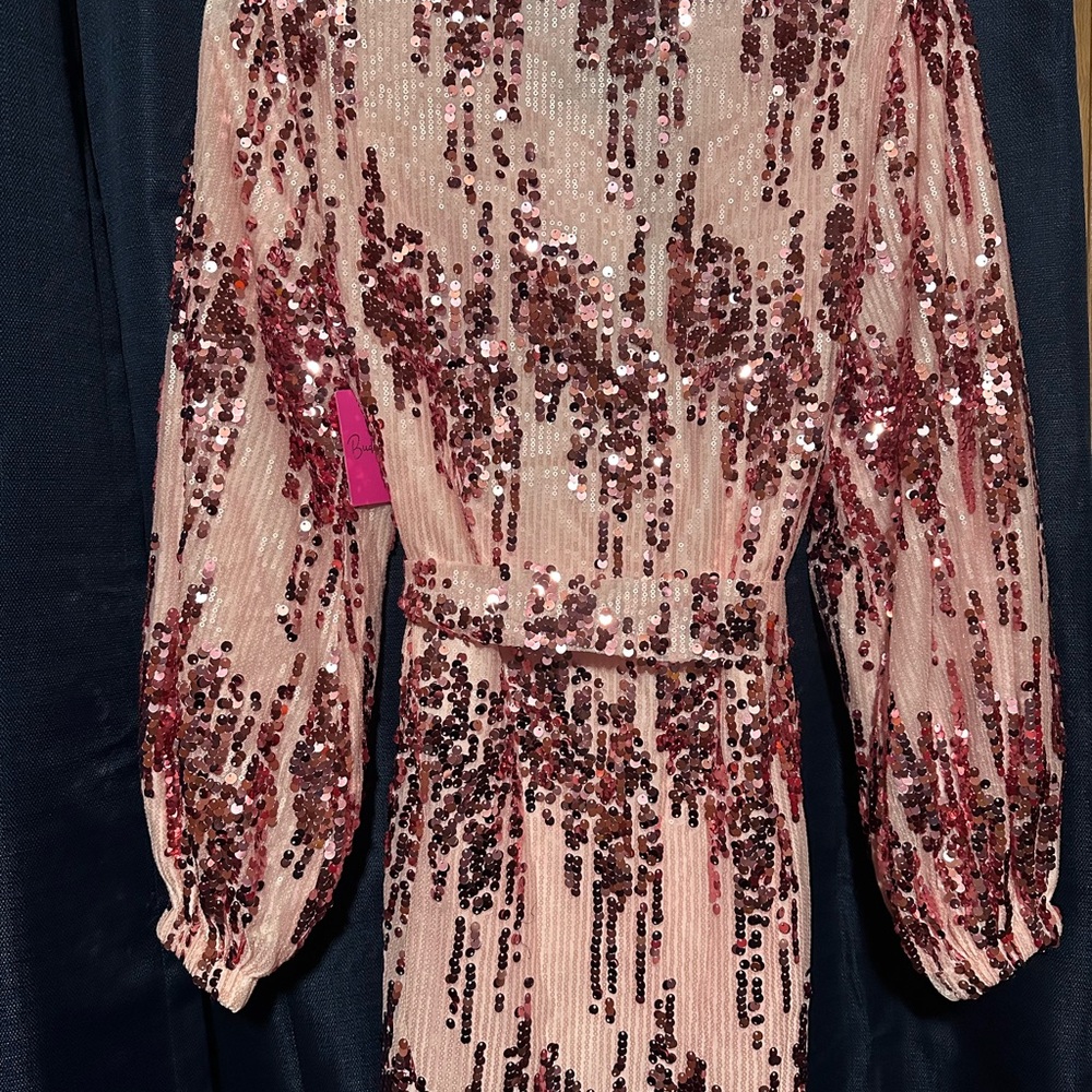 Buddy Love Blush Sequin Dress